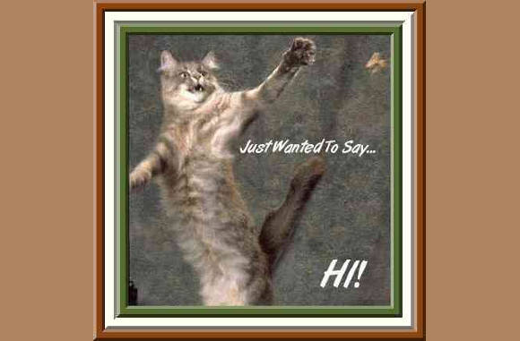 Hi!!
