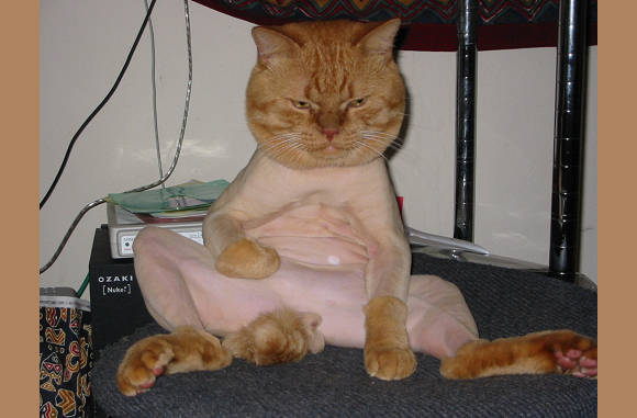 Nee, van de rest blijven jullie af....