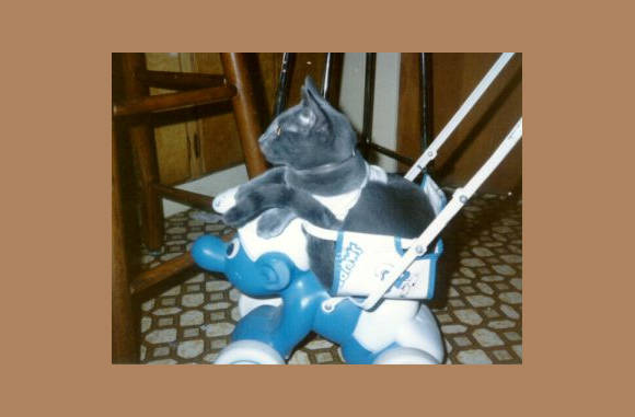 Joepie, een ritje......