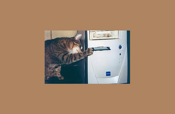 Mmmm, die floppy ziet er lekker uit......