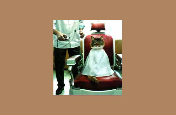 Alleen de punten graag...