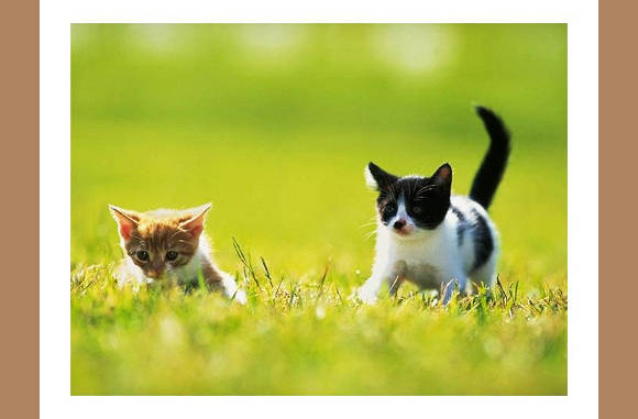 Ik hoor net dat het eten klaar staat...