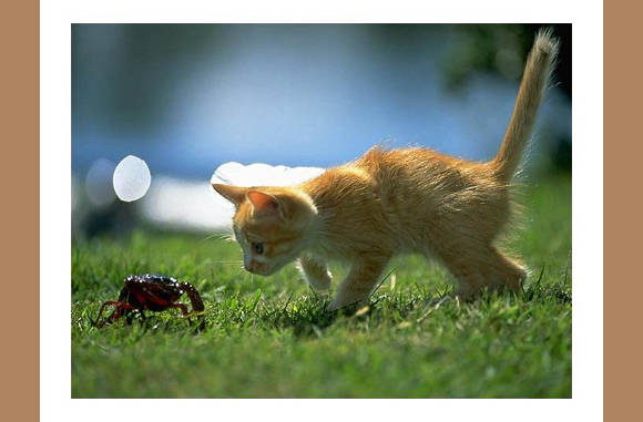 Wat een eng ding....