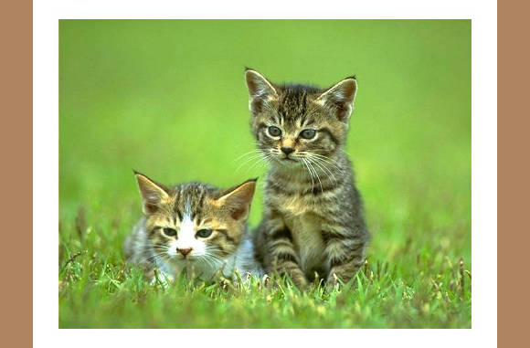 Wat een koppies he...