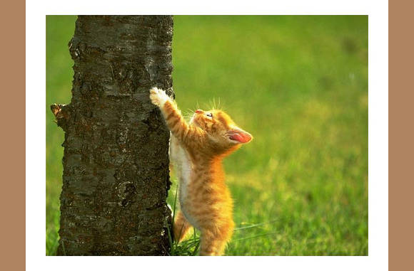 Kijke eens wat ik kan...