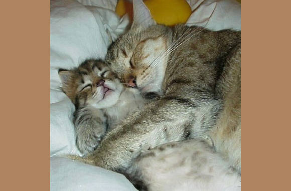 Kom maar in mijn armen....