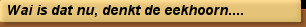 Wai is dat nu, denkt de eekhoorn....