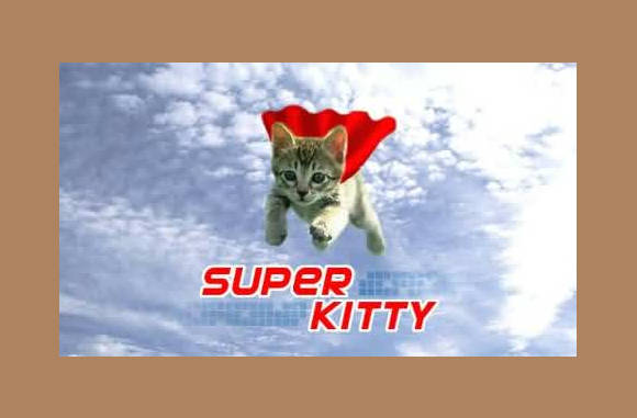 Super Kitty....