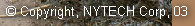 &copy; Copyright, NYTECH Corp, 03
