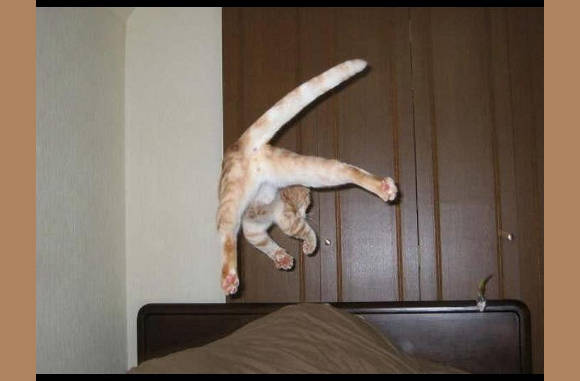 Whopieeeeeeeeee