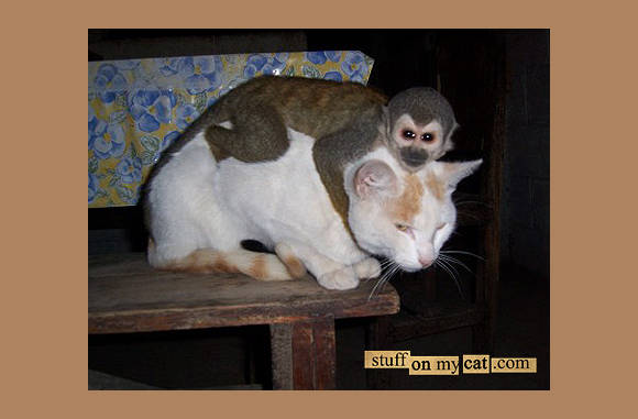 Ach hij is verliefd op me.....