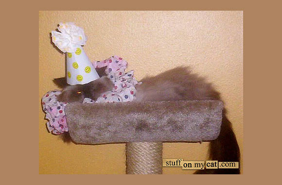 It's my party.....