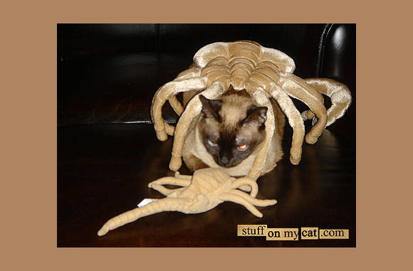 Aliennnnnnnnnnnnn