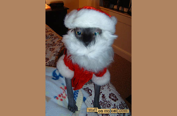 Kerst is vroeg dit jaar!!!