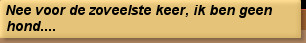 Nee voor de zoveelste keer, ik ben geen hond....