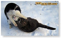 Vechten in de sneeuw...