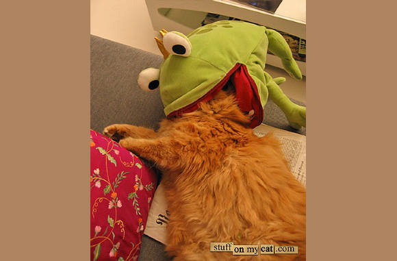 Kermit???