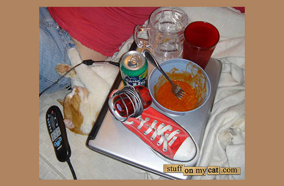 Eten van een vrijgezel......
