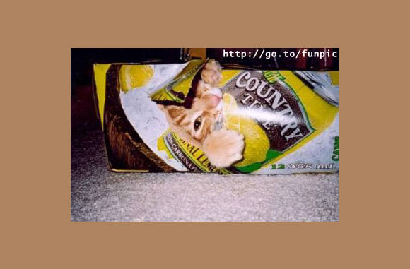 Waar is nou die chips....