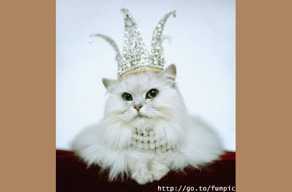 Queen......