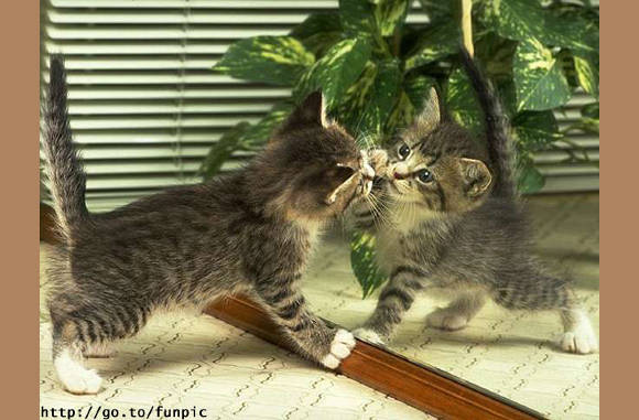 Wat een lief poesje daar.....