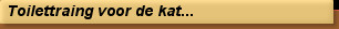 Toilettraing voor de kat...