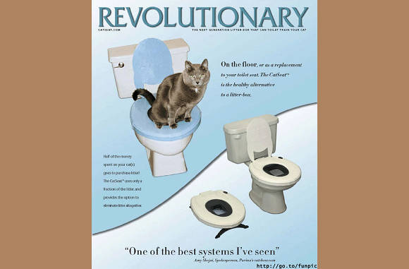 Toilettraing voor de kat...