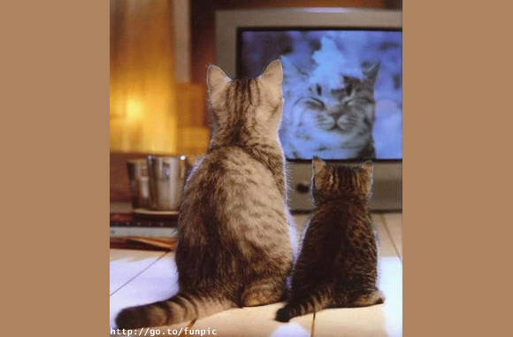 Leuke tv tegenwoordig....