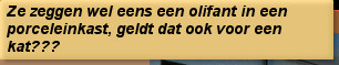 Ze zeggen wel eens een olifant in een porceleinkast, geldt dat ook voor een kat???