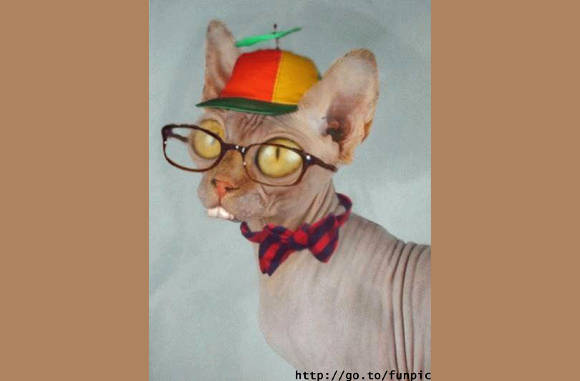 Nerd......
