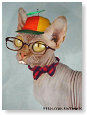 Nerd......