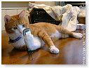 Wie belt me nu weer????