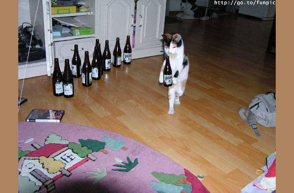Bier is gezond...............