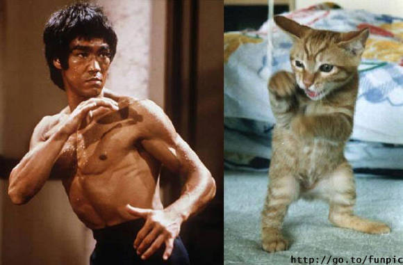 Bruce Lee, mijn grote voorbeeld!!!