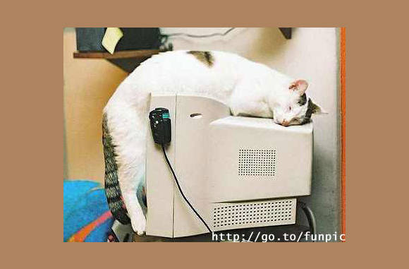 Lekker warm zo'n ouderwets scherm........