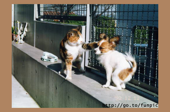 Hoe durf je dat te zeggen..................