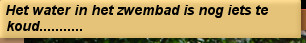 Het water in het zwembad is nog iets te koud...........
