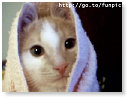 Lekker zacht die handdoek........