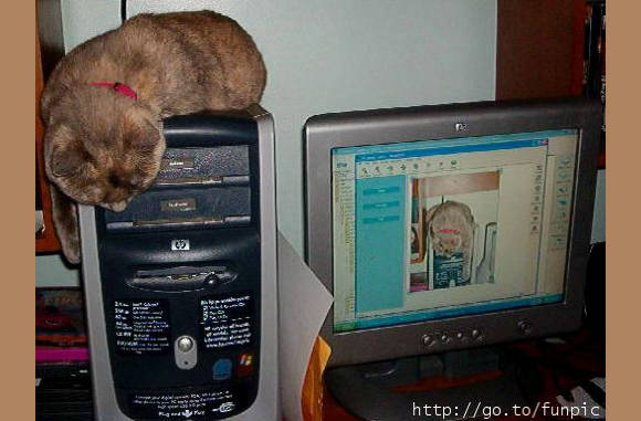 ook de pc kast is een warm plekje.................