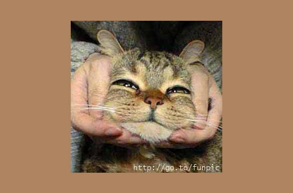 Breedbekkat................