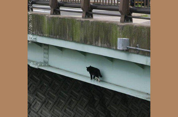 Loopt hier makkelijker dan daarboven.................