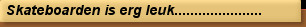 Skateboarden is erg leuk......................