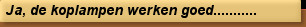 Ja, de koplampen werken goed...........