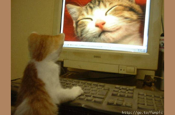 Mijn chat-date............