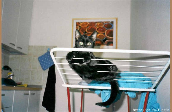 Of een wasrek......