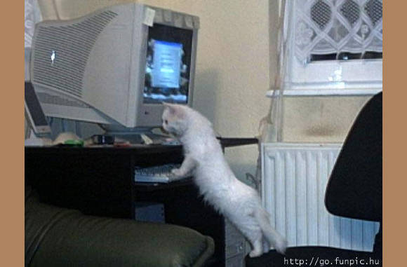 FF me mail checken.................