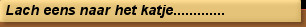 Lach eens naar het katje.............