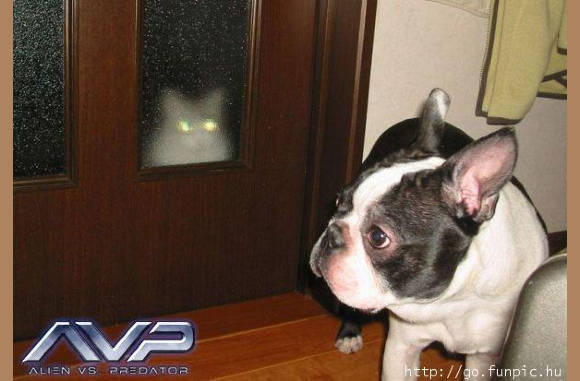 De buitenverlichting is aan...............