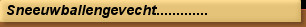 Sneeuwballengevecht.............