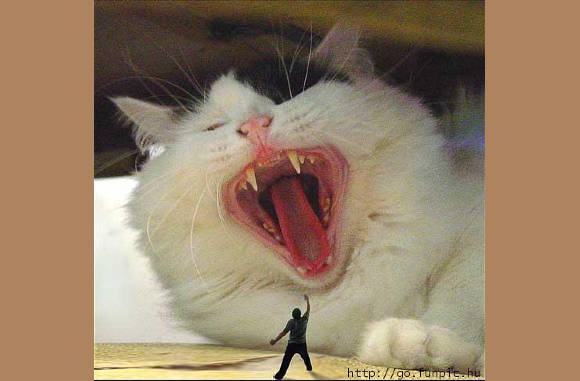 it's a giant cat..................
